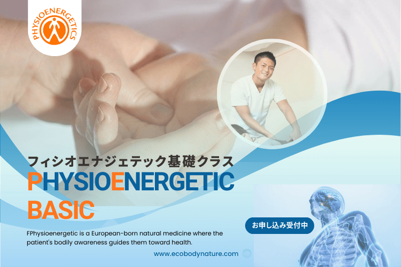 フィシオエナジェティック基礎クラスのお知らせバナー