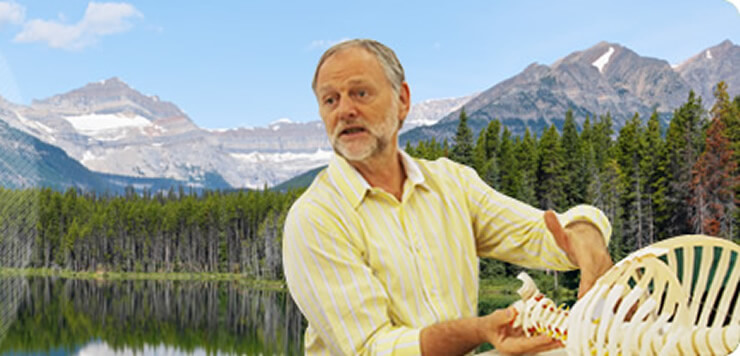 フィシオエナジェティックを学ぶ - エコボディーネイチャー